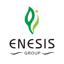 logo enesis